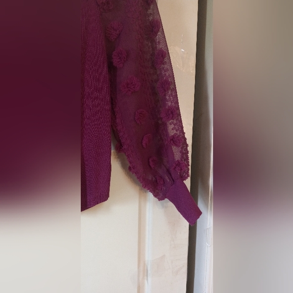 Beautiful Plumish Fitted Top - Picture 3 of 5